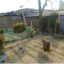 택전1리 공원 이미지