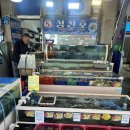 싱싱회판매장