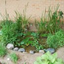 서울은빛초등학교 이미지