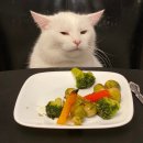 Backen베이커리카페 이미지