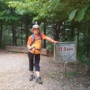 올레휴 Daum카페