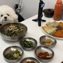 한마당식당 | 강원도 정선 5일장 애견동반 식당 맛집 추천 정선한마당 내돈내산 방문후기