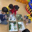 연포초등학교 병설유치원 이미지