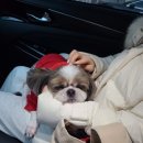 보타닉동물병원 이미지