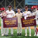 MVP 이미지