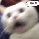 행원맨션 | 안녕 일본