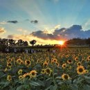 신사종합사회복지관 이미지