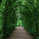 안나파크 이미지