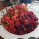 서부상회 이미지