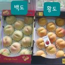 백도/황도/하우스귤/캔디하트/송산포도/샤인머스켓 판매합니다. 이미지