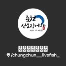 서준수산 - 목포시 수강로12번길 42 | 서준수산