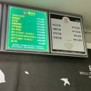 힐리 | 주중 웰리힐리스키장 푸드코트 솔직 후기