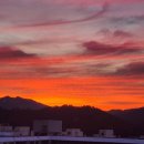 배천 | 말 머리에 무지개 선 것을 보고 기록하다