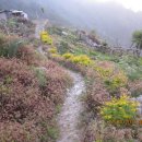 토토농장 이미지