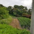 쌍령동-5 이미지