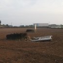 동일리 지석묘 4호 이미지