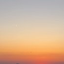 클로버푸드 이미지