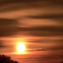 (주)한일클럽하우스식당 | 통영 여행 후기 | 연명항 선상 일출 | 해마루펜션식당...펜션 | 베로나835 두쫀쿠 | 한일김밥 충무김밥