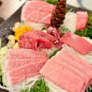 필참치 이미지