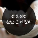 동물실험 찬성과 반대 근거 (9/7모임 자료 3) 이미지