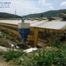 정선축사 네이버블로그