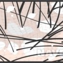 리안성형외과의원 이미지