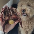 까까시몽 이미지