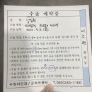 수원이안과의원 | 수원이안과 라섹 리얼후기 (수술+10일차)