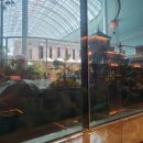 롯데호텔남성사우나 이미지