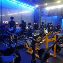 라인업 짐 휘트니스 이미지