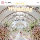 구도 | W.20 본식스냅 추천ㅣ'디아필름' 색감/구도 맛집 계약후기 (짝꿍코드 O)