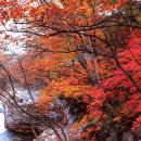 청덕면사무소 이미지