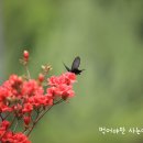 자꾸 생각나는 아침고요수목원 주변 청평맛집♥ 이미지