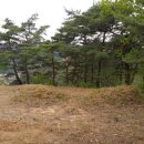 늘목목장 이미지