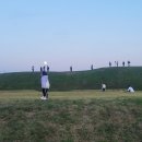 고랑포구역사공원 이미지