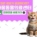 라움동물병원 | 24시 라움동물의료센터, 치와와 슬개골 탈구 수술