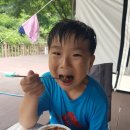 대봉약수터 네이버블로그