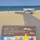 일원커피카페 | 강릉 가볼만한곳 안목해변,오픈런 웨이팅 커피맛집 "카페툇마루"후기