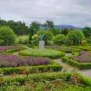 꿈꾸는 뜨락 2호 이미지