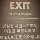 예술과 함께 방학여행 go~go | 아르떼뮤지엄, 초대형미디어아트 강릉 가볼만한 곳