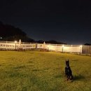 딩동댕댕 이미지