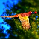 참진에너지 이미지