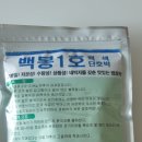 마감합니다 2026년 백봉 단호박 공동구매 (13구좌) 이미지