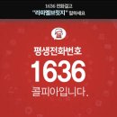 라파엘브릿지 이미지