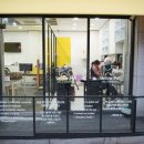 윤스강아지 이미지