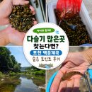 다슬기 많은 곳 찾는다면? 포천 백운계곡 숨은 다슬기 포인트 후기