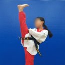 용인대 청명 태권도 이미지