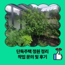 세븐일레븐 안성방초로드점 | 단독주택 정원 정리 작업 문의 및 후기