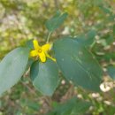 운강이강년기념관 이미지