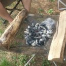 서후리 산촌생태마을 이미지